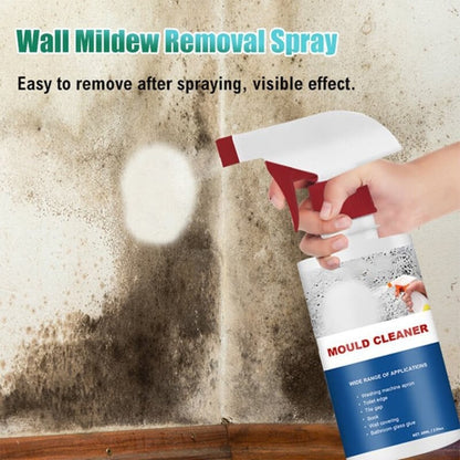 🔥New Year Hot Sale 49% Off🔥Mould & Mildew Removing Foam Spray